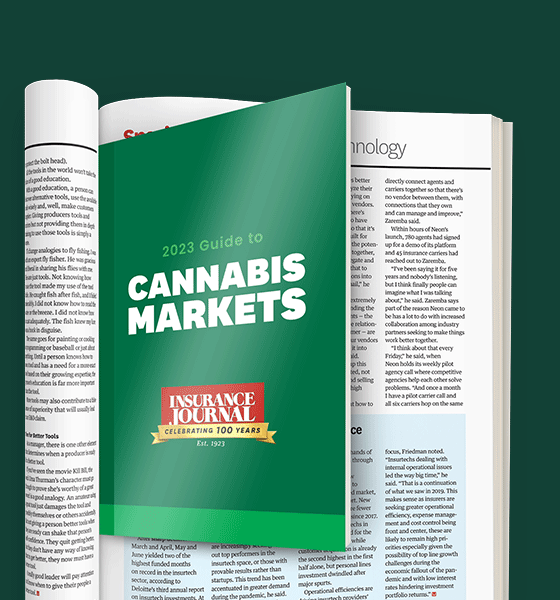 Cannabis Markets Guide Image