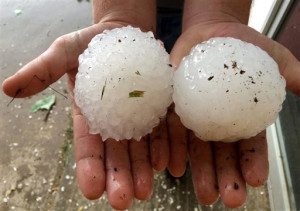 This April 26, 2015 photo provided by Ben McMillan shows two large hailstones that fell near Rising Star, Texas, about 150 miles southwest of Dallas. (Ben McMillan via AP)
