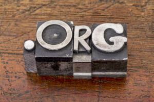 non-profit organization internet domain - dot org in mixed vintage metal type printing blocks over grunge wood