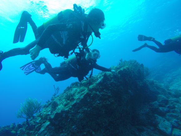 Scuba diving is an activity that's familiar to many in special operations forces.