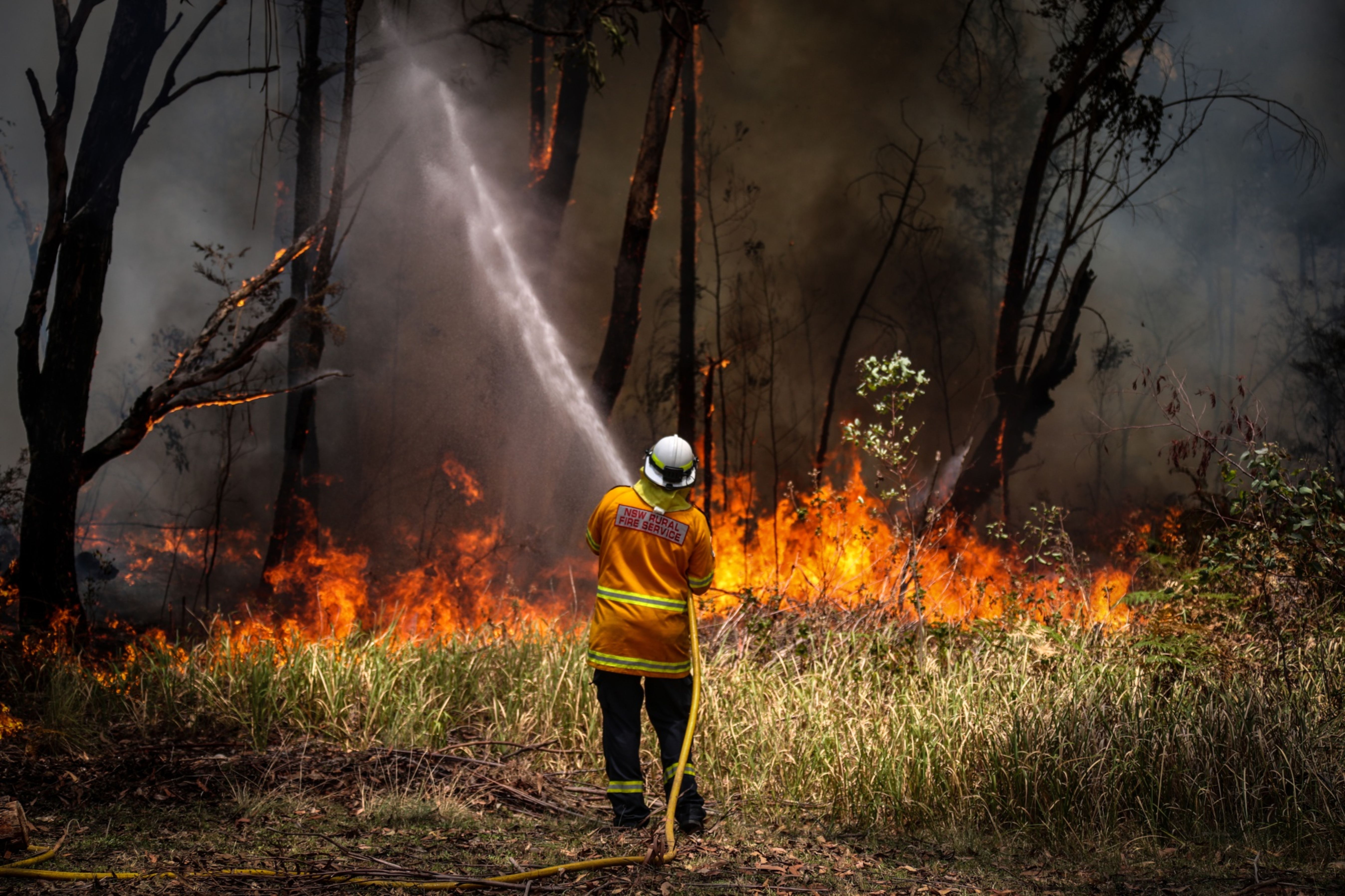 Heatwave Gripping Australia Exacerbates Devastating Bushfires 6650