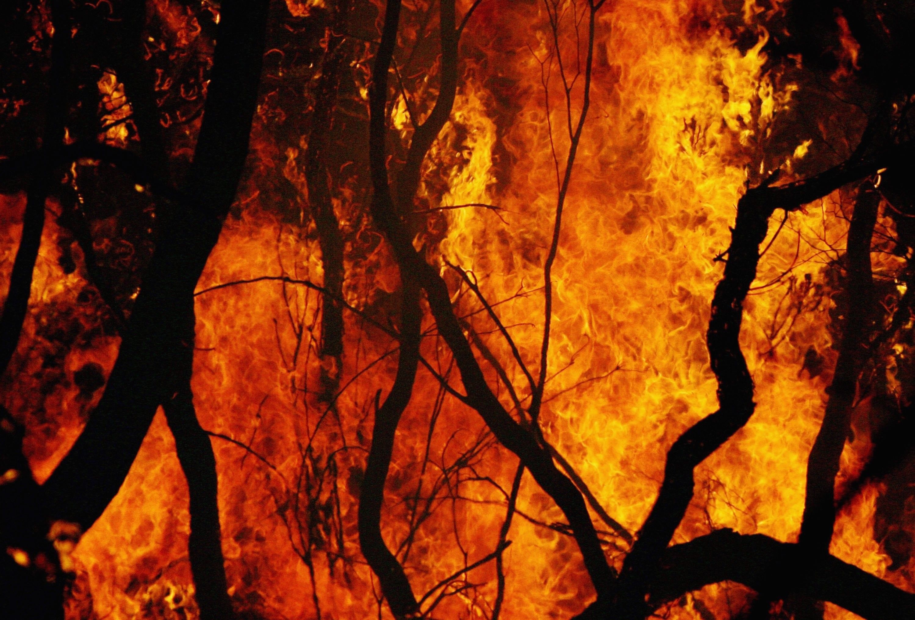 Australias Bushfires Could Surpass 2009s Costly Season Analysts