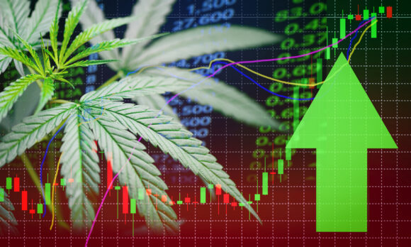 As the legalization of cannabis expands, we’ll likely see more investment opportunities