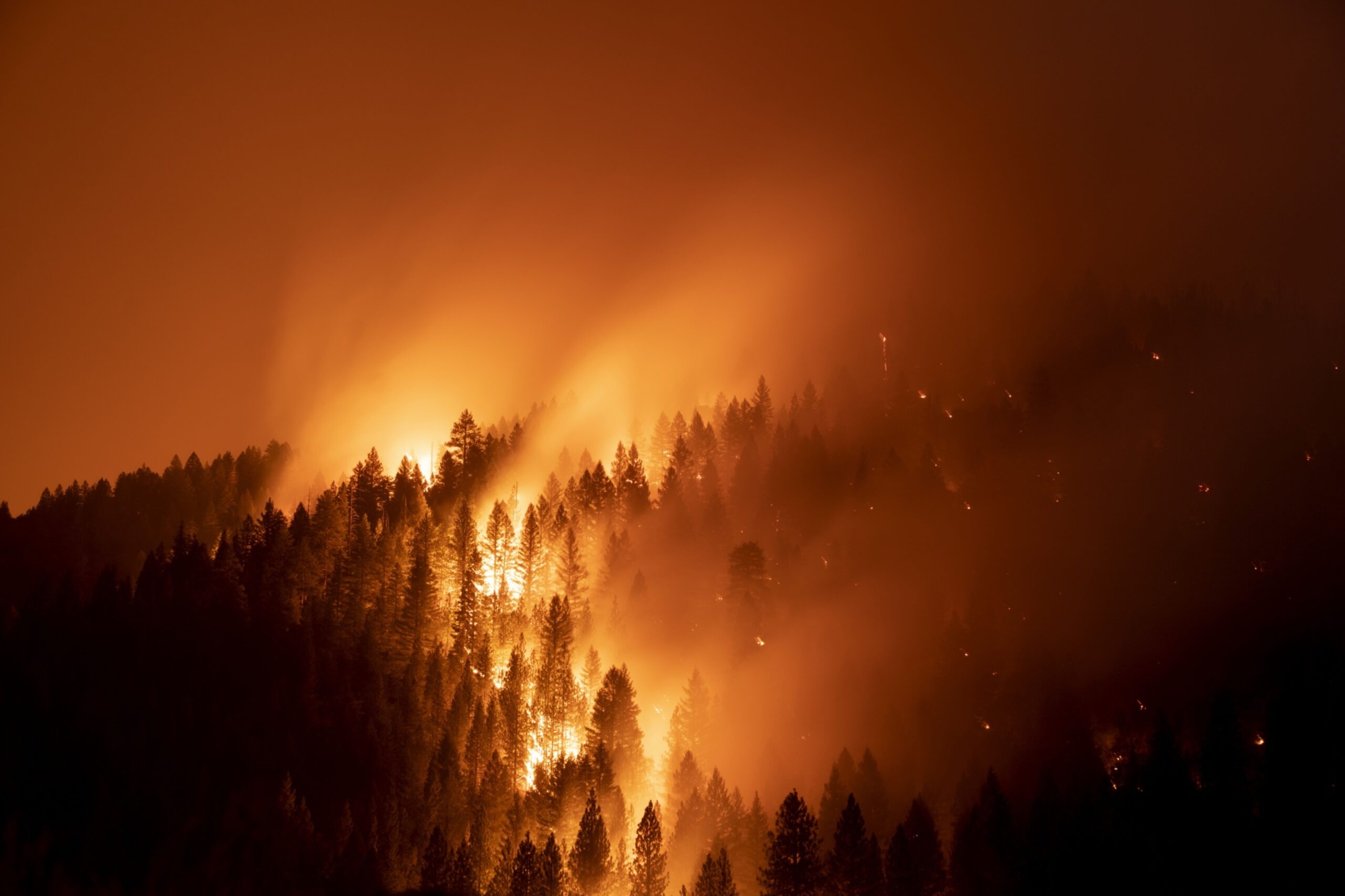 Insurers Increasingly Concerned for Western U.S. Wildfire Season