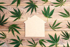 Home symbol ith fresh leaves of hemp on wooden background with copy space.