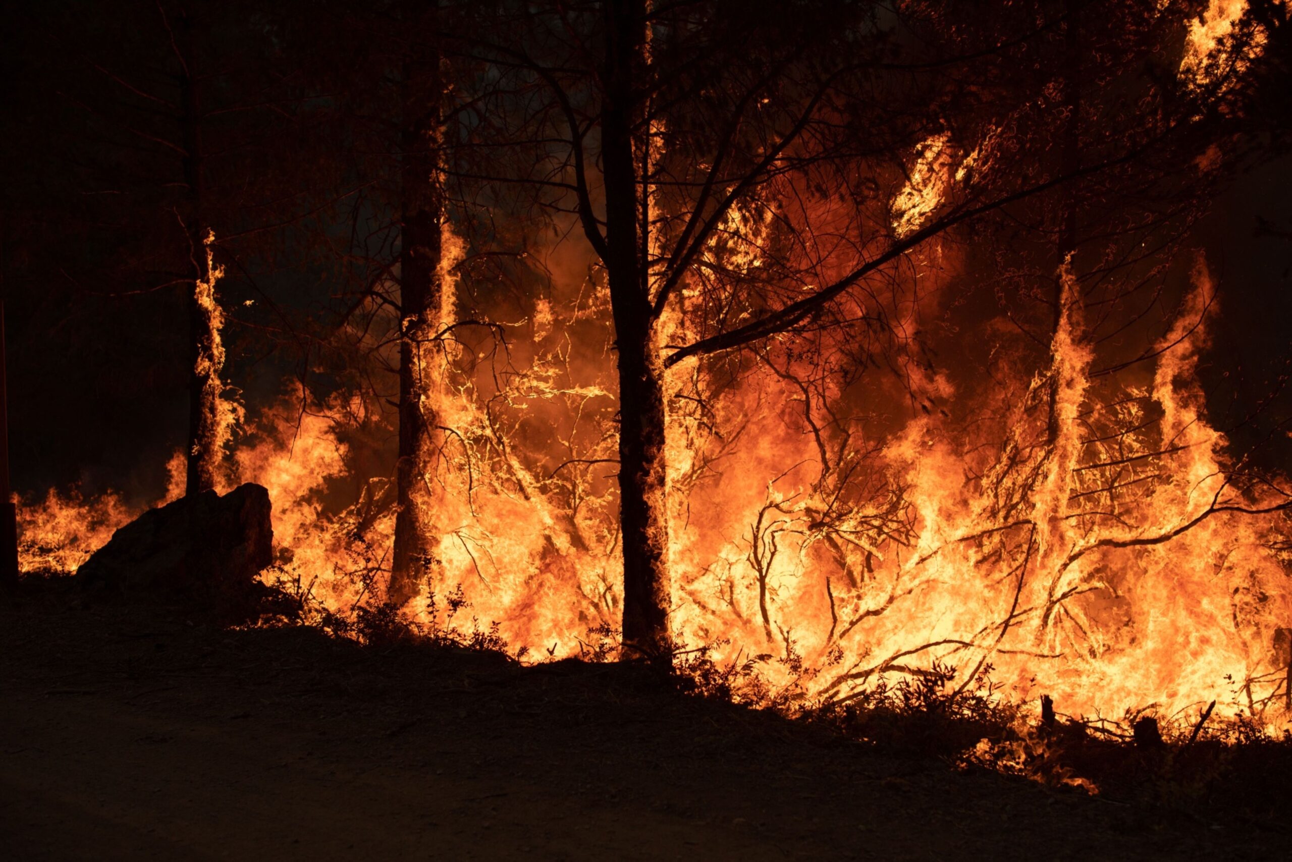 Maui Wildfire Survivors Camp Pushing Mayor to Convert Trip Leases into Housing