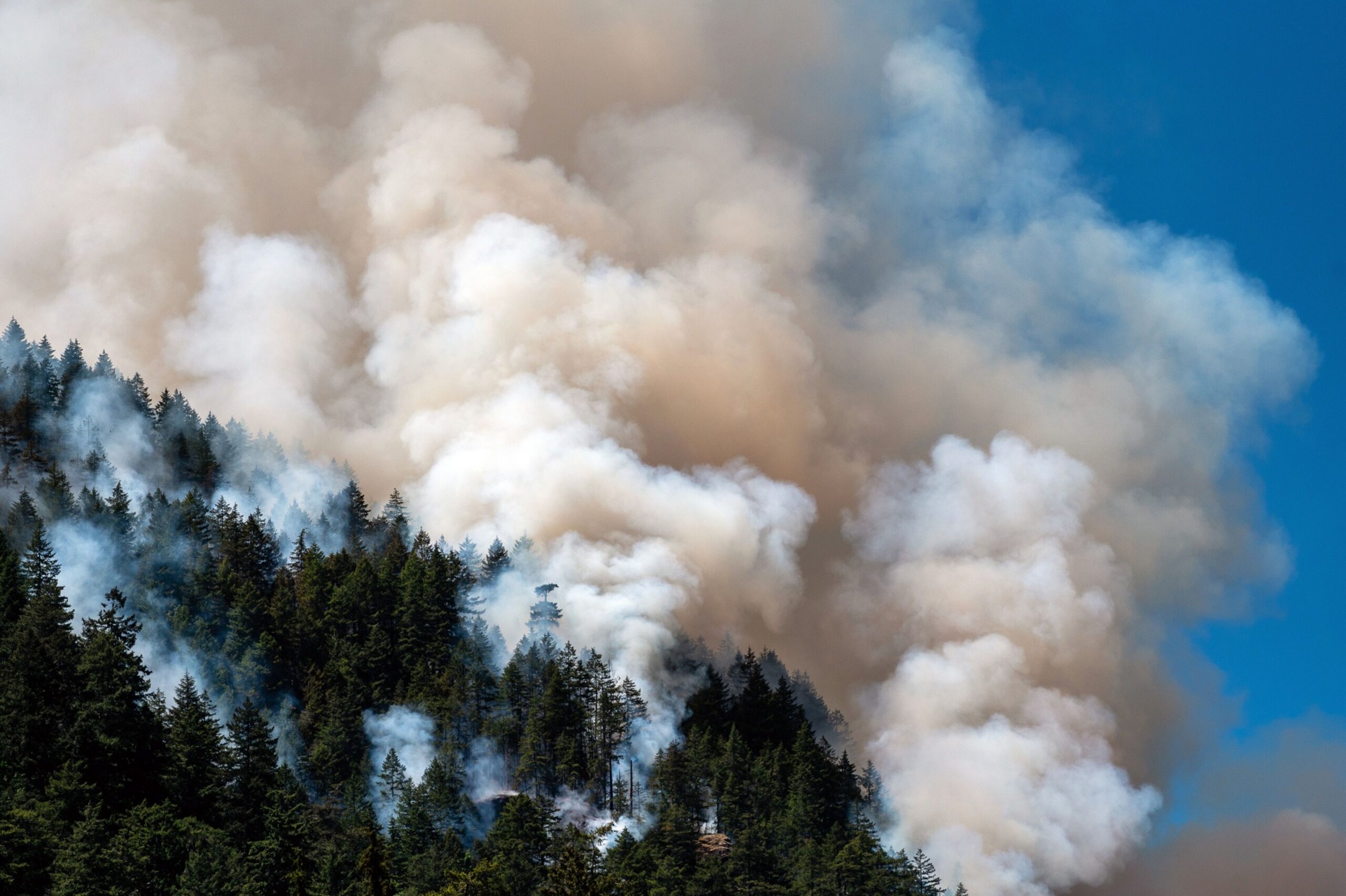 Canada’s Wildfires Burn Record 25 Million Acres With No End in Sight