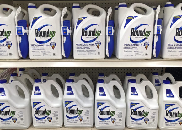 Plymouth, WI  September 18, 2018: Store shelf full of many bottles of Roundup ready to use weed and grass killer. Sprayer and refils.