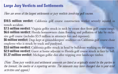 Large Jury Verdicts and Settlements (Click for larger image)