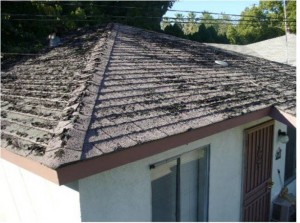 Figure 3. Roof with Organic Growth and in Disrepair