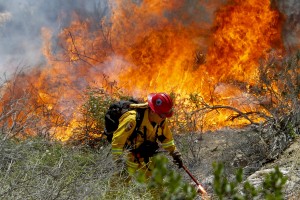 California Fire Capt. Mark Miller lights a backfire as he and a crew  try to knock down a brush fire near Oriole Court in Carlsbad, Calif., on Wednesday. Thousands were asked to evacuate their homes in Carlsbad after the blaze erupted at about 10:34 a.m. Wednesday and spread through rapidly heavy brush before jumping into residential areas. (AP Photo/U-T San Diego, Hayne Palmour IV)
